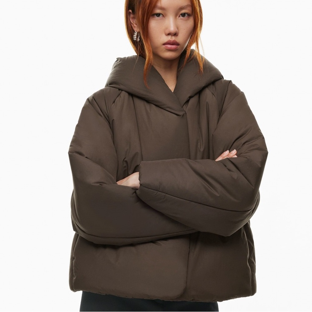 Aritzia Dome Puffer